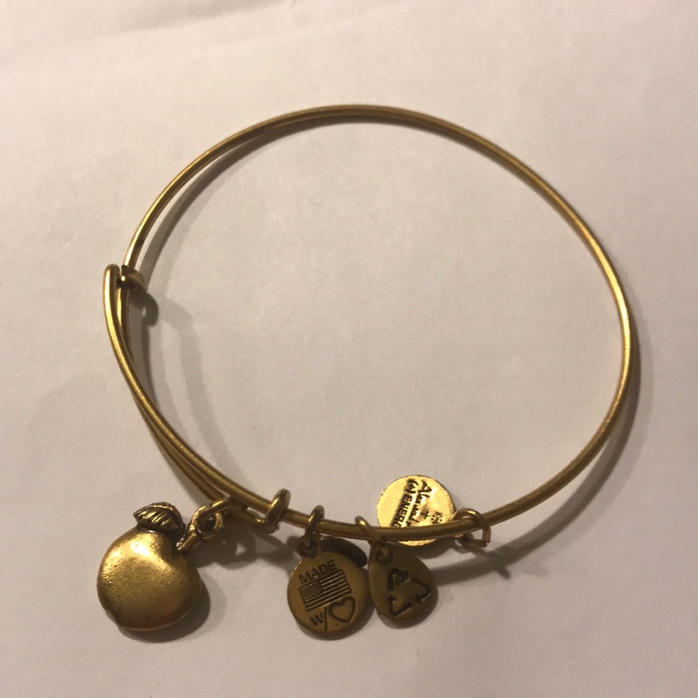Alex and Ani APPLE charm bracelet